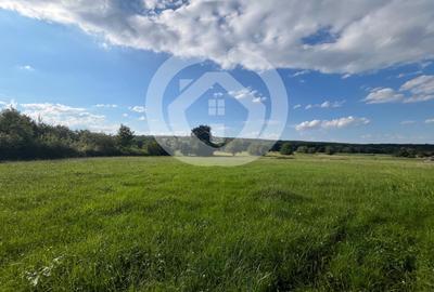 Teren intravilan constructii 6668 mp - Rasinari, Sibiu - 5
