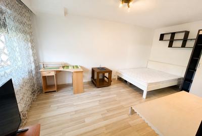 Apartament cu o cameră Bucovina - 2
