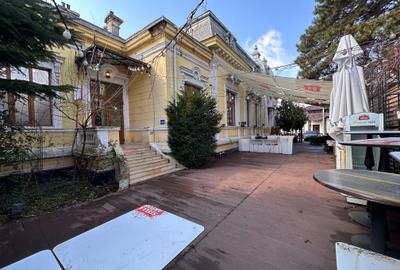 Spatiu Comercial premium - Caffe Viena Ultracentral - 20