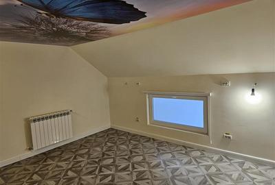 Spatiu de lux, pretabil servicii - 12