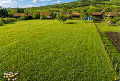 FILM! Constructie cu facilitati, teren productiv de 6.221 mp, Lemnia, Covasna - 7