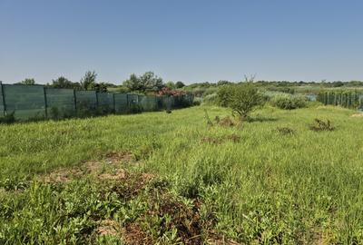 Izvorani - Teren cu deschidere generoasă la lacul Snagov - 5