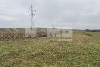 Teren Burdujeni | Zona Tarinca | 41 Ari - 5