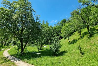 Casa de la marginea padurii! - 10