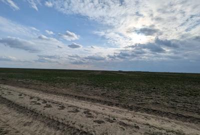 Loturi intravilane 300–500 mp, la 10 km de Centura Sud | Rate fără avans - 2