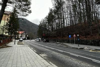 Teren in vecinatatea Castelului Peles - SINAIA - 1