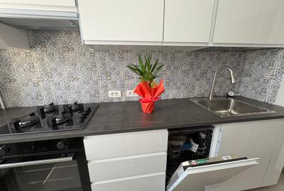 Dristor,ap.2 camere,decomandat,et.7,renovat recent,prima inchiriere,650Euro/luna - 16