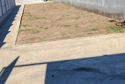 CUMPANA CASA LA ALB  4 CAMERE  TEREN 575 MP PRET 165.000 EURO - 8