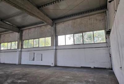 Vanzare depozit/hala/spatiu industrial Domnesti - Clinceni - Bragadiru - Centura - 8