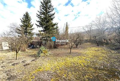 Teren Construcții intravilan de 4833 mp, în Dancaș