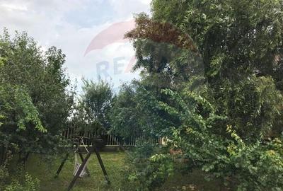 Casă individuală luminoasa cu 6 camere, cu grădină de 572 mp in Gulia - 29