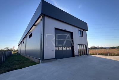 Spațiu industrial, de 344.00 mp, în Domnești