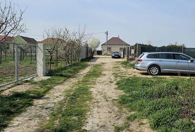 Teren Construcții intravilan de 950 mp, în Nojorid