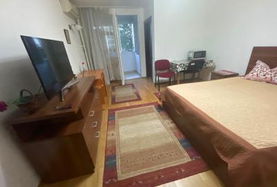Inchiriere garsoniera langa metrou Costin Georgian, mobilata si utilata, etaj 4 - 3