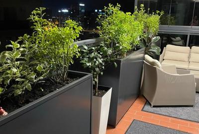 Apartament de lux in orhideea spa - 12