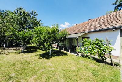 Casă + 2870 mp teren – oportunitate Ciocaia - 4