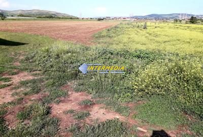 Teren Intravilan de vanzare 3550 mp Alba-Micesti - 1