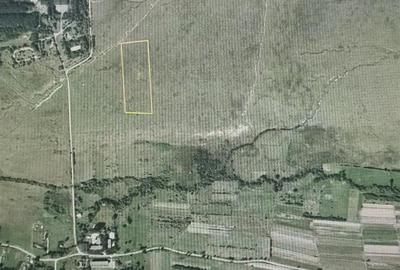 Teren Construcții extravilan de 22790 mp, în Dejani