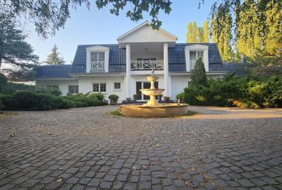 Vila individuala, teren 3000 mp, Iancu Nicolae - 25