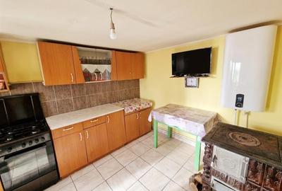 RECO Teren mare cu 2 case in Sabolciu, com. Sacadat - 9