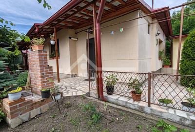 Casa individuala, 100 mp utili, 242 mp teren, Str. Trandafirilor - 2
