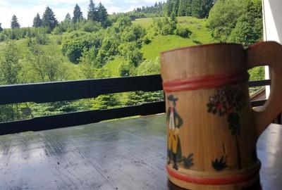 Investitie | Pensiune de Vânzare în Bucovina | 25 de Camere | Teren 4. - 14