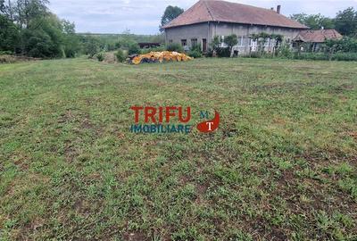 Teren Construcții intravilan de 24088 mp, în Galda de Jos