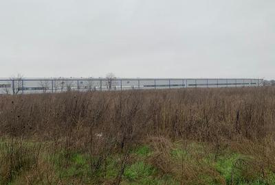 Sos  DJ200  Dascalu - Creata   Vanzare Teren intravilan - 8