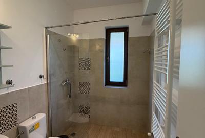 VANZARE CASA INDIVIDUALA/110MP UTILI/TEREN 550MP/DUMBRAVENI BALOTESTI - 17