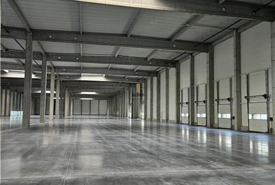 Spatii Industriale - 9500 mp - Logistica - Productie - Depozitare - Distributie - 10