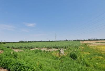 Teren intravilan de Vanzare - Popești-Leordeni / Splaiul Unirii - 4