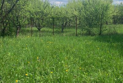 Statiunea  Breaza  Vanzare Vila(Pensiune)+10 camere - 16
