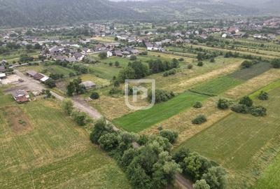 Teren Malini 3600mp | Suceava | Bucovina - 4