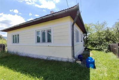 Casa de locuit (Ditrau, str. Livezii) - 2