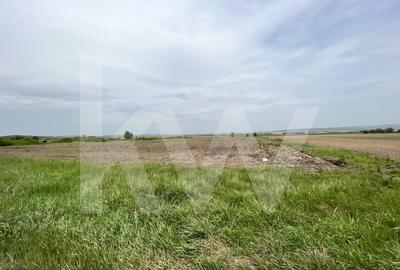 Teren 14.800 mp - PUZ Construcții - Zona Aeroport Sibiu - 1