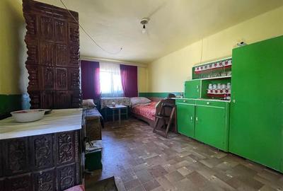 CASA LA TARA | 6770MP TEREN | JOSANI | BIHOR | - 7