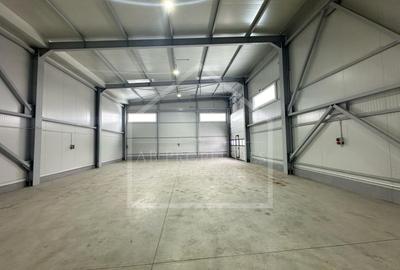 HALA  depozit/hala/spatiu industrial , CHITILA - TOP DEAL - 5