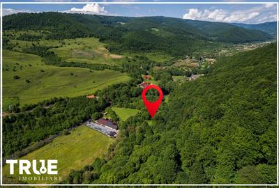 Teren intravilan 2.800 m² în Câmpu Cetății – liniște și natură - 18