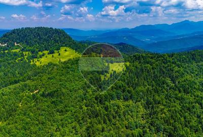 Refugiu în natură la Săcele | Teren 7.000 mp cu râu | Comision 0% - 13