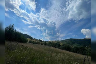Teren cu potențial turistic, cadru natural rar, 20.000 mp  Sacuieu - 3