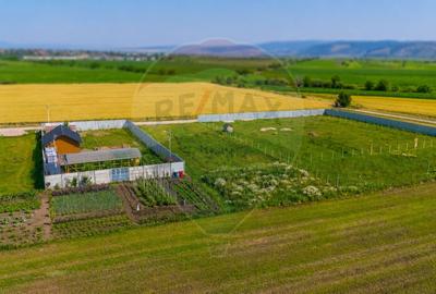 Teren intravilan cu CU-BOD- ZONA CISMASU- 1,020mp / Strada Iasomiei - 5