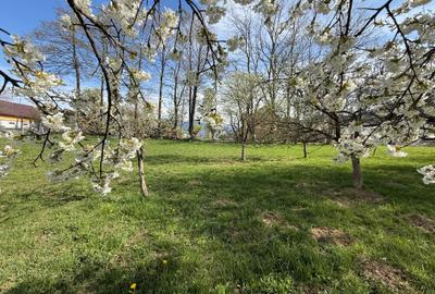 Teren intravilan 1355 mp in zona Bran, judetul Brasov - 5