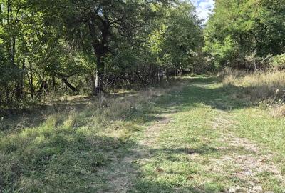 TEREN IN VLADESTI - NATURA, LINISTE SI DOAR 7 KM PANA IN CENTRUL RAMNICULUI - 3