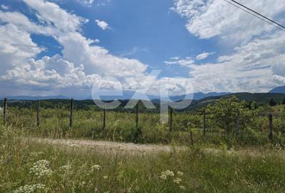 Teren agricol extravilan de 4725 mp, în Poiana Mărului