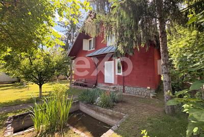 Casa Snagov de vanzare - 4