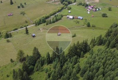Teren 33,364mp Dorna Candrenilor / Strada Strugurel - 4