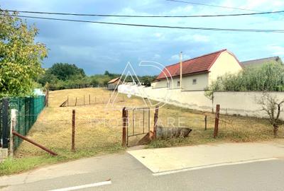TEREN DE VÂNZARE – VLĂDULENI, COMUNA BĂLTENI - 2