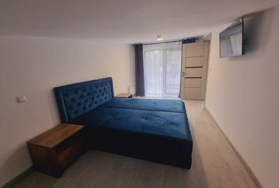 Complex de agrement 1800mp si teren 10000mp zona Colibita constructie 2025 - 9