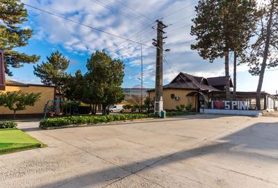 Proprietate Privata | Oltenesti Vaslui | Business la Cheie - 3