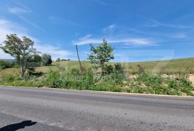 Teren Construcții extravilan de 2800 mp, în Vulcan